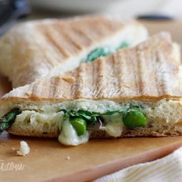 Melted Swiss cheese, asparagus, prosciutto, arugula and garlic mayonnaise pressed in a ciabatta panini.