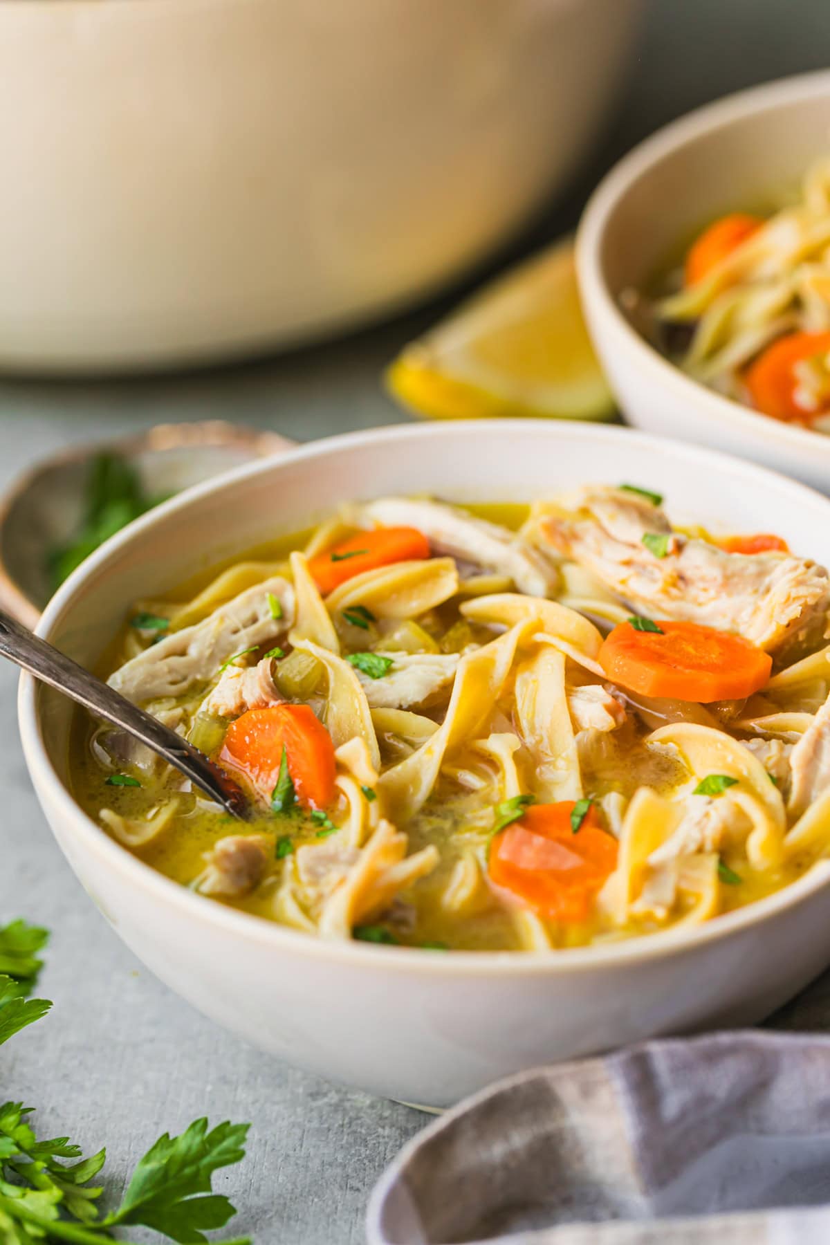 Chicken Noodle Soup