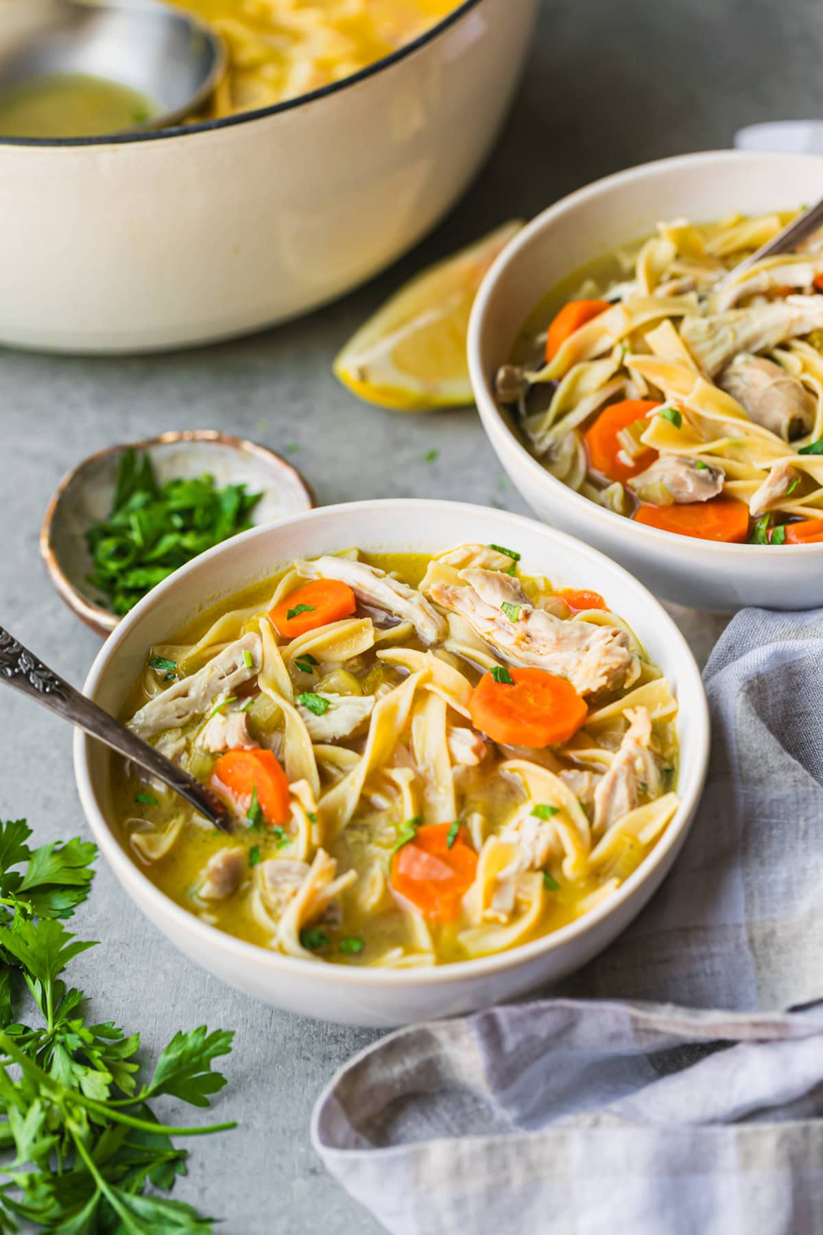 Chicken Noodle Soup