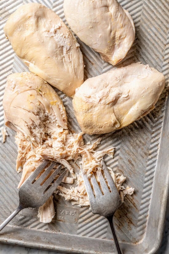 Forks shredding cooked chicken breasts