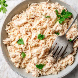 Bowl of crockpot shredded chicken with 2 forks