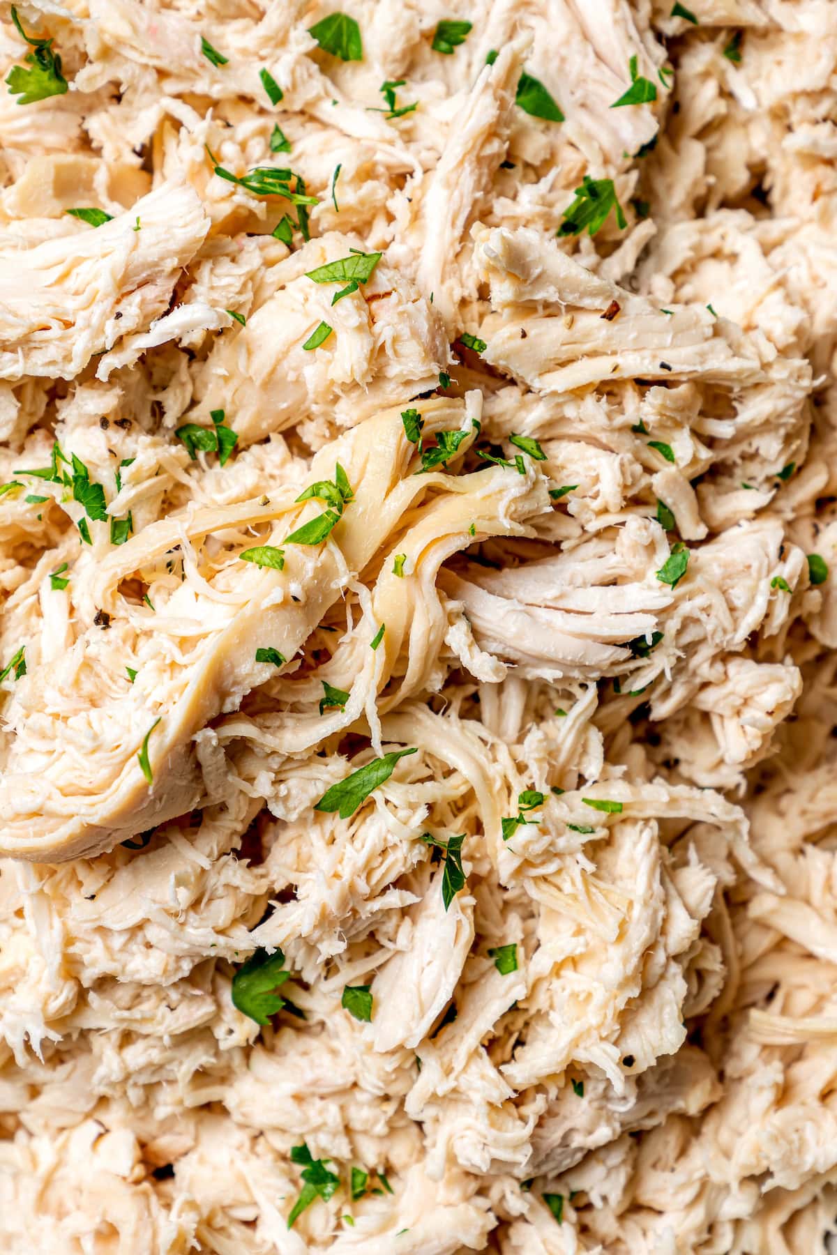 Closeup of slow cooker shredded chicken