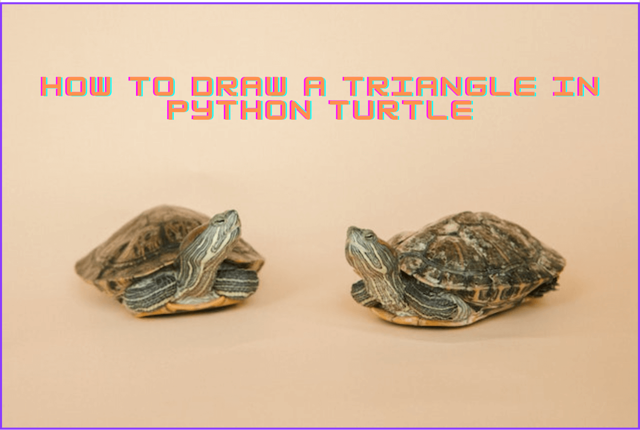 How to Draw a Triangle in Python Turtle