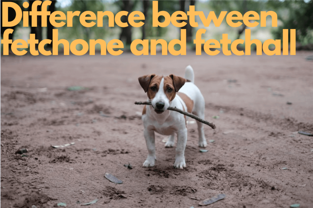 Difference between fetchone and fetchall 